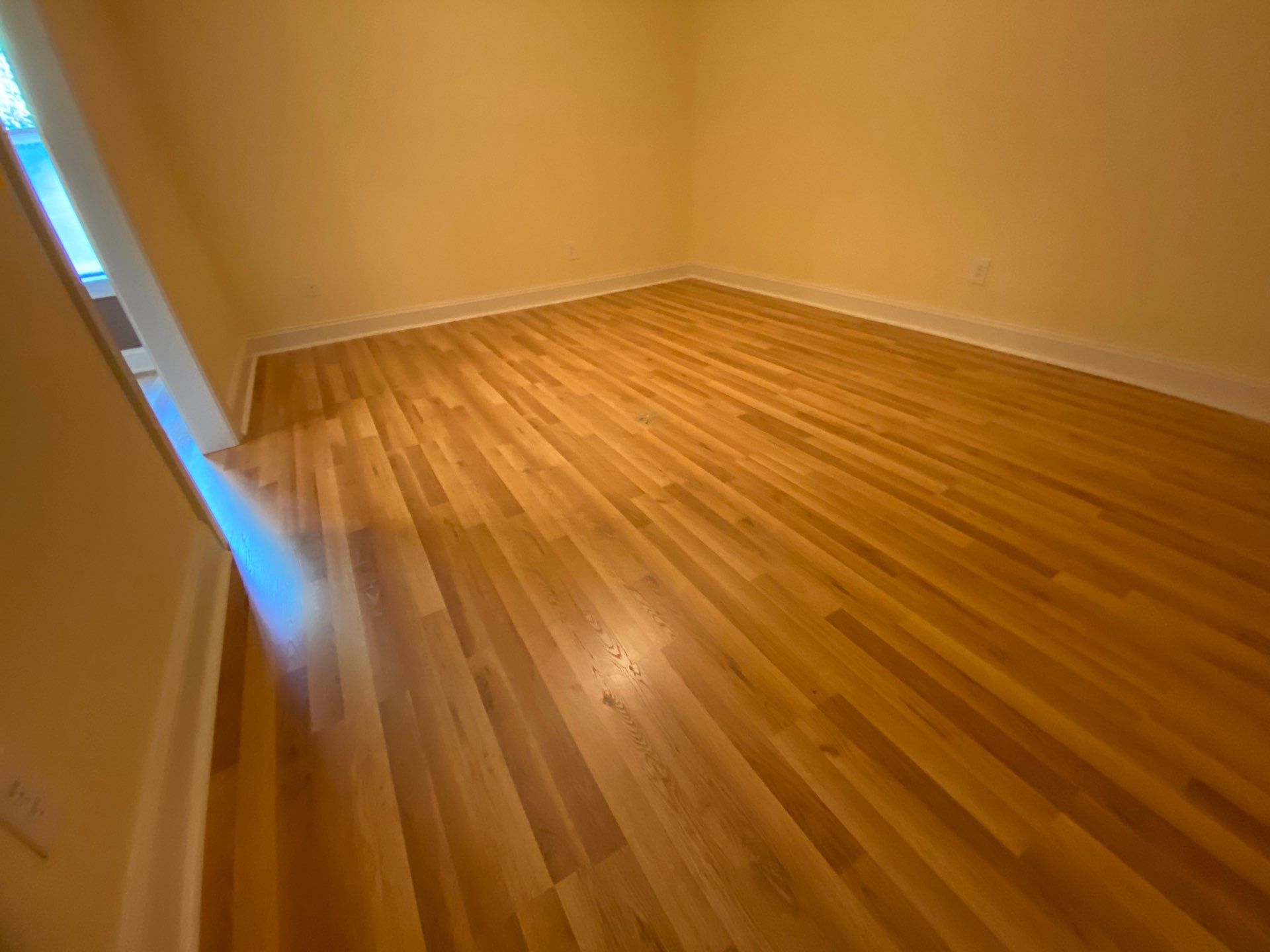 Basement water damage demo exposed framing โ Marietta, GA, Estate Solutions